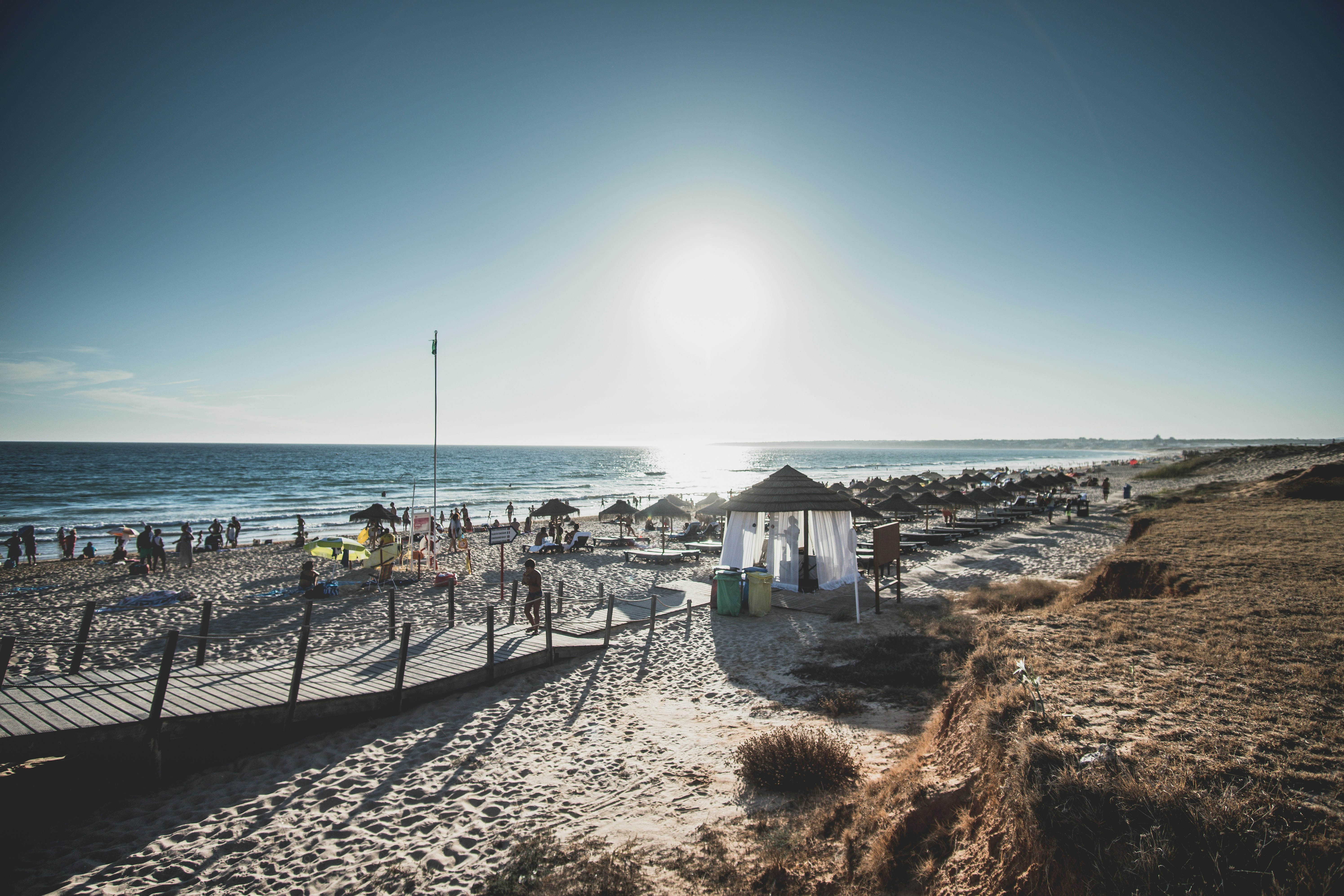 people on beach during daytime